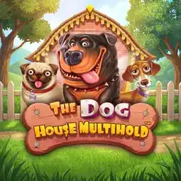 The Dog House Multihold game at Betman Casino for Australia players The Dog House Multihold game at Betman Casino for Australia players
